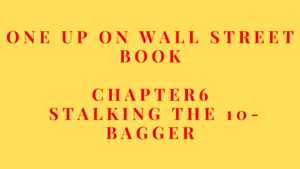 One Up On Wall Street: Chapter 6