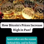 How Bitcoin's Prices Increases high in past?