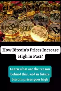 How Bitcoin's Prices Increases high in past?