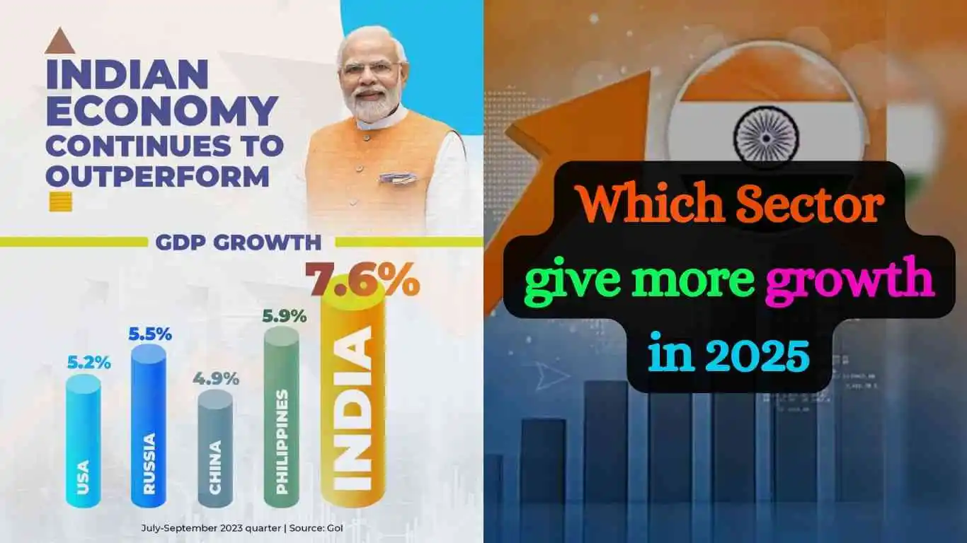 Which Sector give more growth in 2025